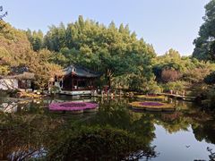 -汇龙潭