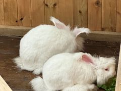 -HERRE·FARM 赫尔露营农场·团建聚会包场