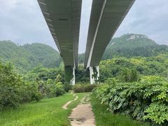 -贵阳市花溪国家城市湿地公园