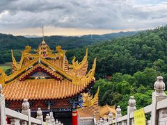 -东莞市大岭山森林公园