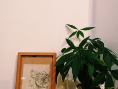 -拾年