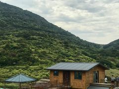 -大姆山草场