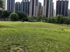 -长白岛森林公园