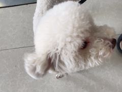 -瑞派福兴宠物医院犬猫全科·骨科·中西医结合(河东店)