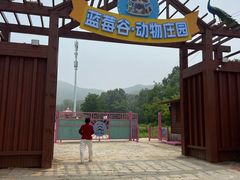-金石滩蓝莓谷庄园