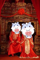 -金夫人婚纱摄影(总店)