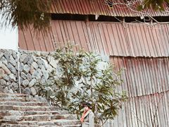 -中国庆元廊桥博物馆