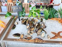 -济南凯宾斯基酒店-THE VIEW云景全日制餐厅