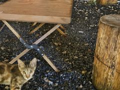 -DGE季风钓虾营地·团建·聚会