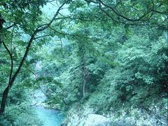 -井冈山风景名胜区