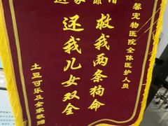 -嘉馨宠物医院·CT影像转诊·心脏科·犬猫全科诊疗中心(下沙大学城院区)