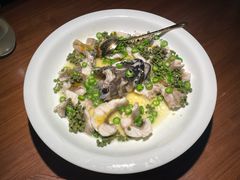 -CHIC1699远洋私厨