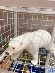 -卡通尼·Safari非洲探索乐园·生日会(金桥国际商业广场店)