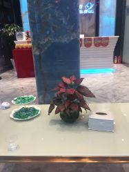 -清颜专业祛痘连锁店