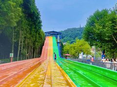 -重庆海昌加勒比海水世界