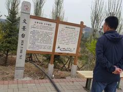-五龙城郊森林公园