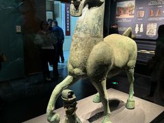 -广西壮族自治区博物馆