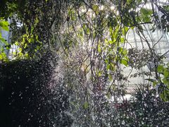 -郑州植物园