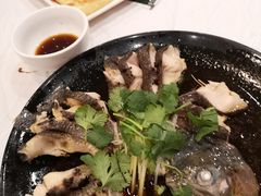-京北渔家傲