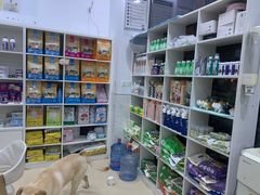 -萌兽医馆·宠物医院·猫骨科(创景店)