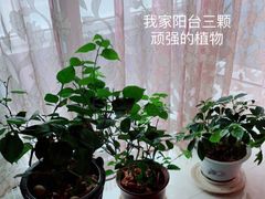 -现代汽车文化中心 Hyundai Motorstudio Beijing