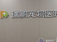-瑞鹏宠物医院·骨外科·心肾科·肿瘤科(九亭店)
