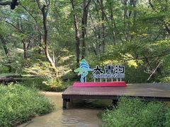 -大青沟风景区