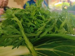 -马帮菜馆·美味野生菌