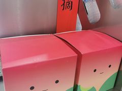 -伏小桃(雁塔MOMOPARK店)