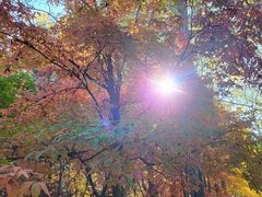 -长春市南湖公园