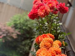 -上海市徐汇区口腔医院
