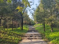 -森林公园(尖草坪区)