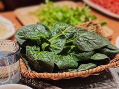 笨菠菜-巴奴毛肚火锅(悠唐购物中心店)
