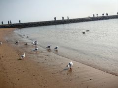 -青岛第二海水浴场