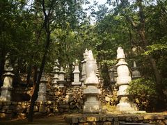 -天津盘山风景名胜区