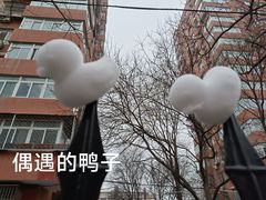 -万荣烤鸭店·北京菜(天坛店)