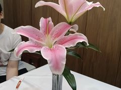 -柴火大院烤鸭民间菜