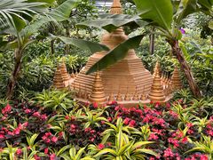 -南宫五洲植物乐园