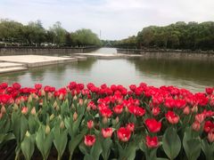 -上海鲜花港