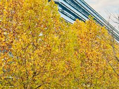 -阿里中心·杭州Z空间