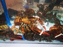 -盒马鲜生(新都心店)