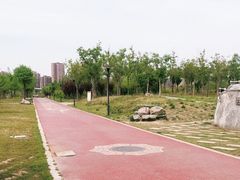 -西吴河科普公园