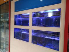 -小龍鳳·港式海鲜打边炉(沙湖路店)