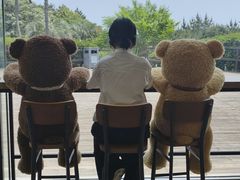 -济州岛泰迪熊博物馆