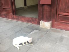 -采石矶景区