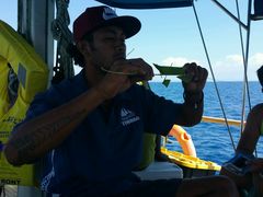 -斐济双桅帆船外岛一日游 浮潜 海钓 Tinhao号