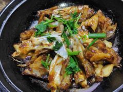 -石岐乳鸽村(南海第三分店)