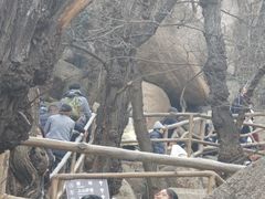 -嵖岈山风景区