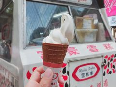 -富豪雪糕车流动点(尖沙咀店)