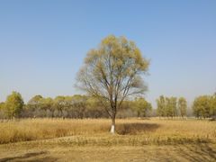 -东郊湿地公园